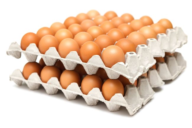 란유통 이미지