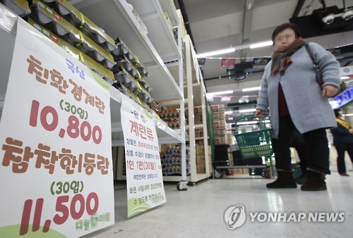 황금알계란 이미지