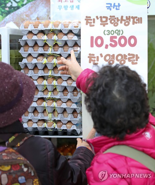 황금알계란 이미지