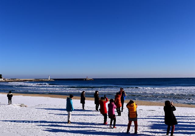 부산에서 온 관광객들이 눈 덮인 죽도해변에서 어깨춤을 추고 있다.