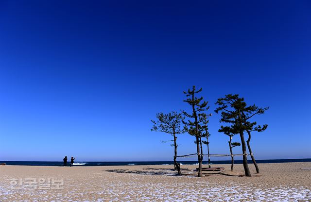 낙산해변의 한적한 겨울 풍경.