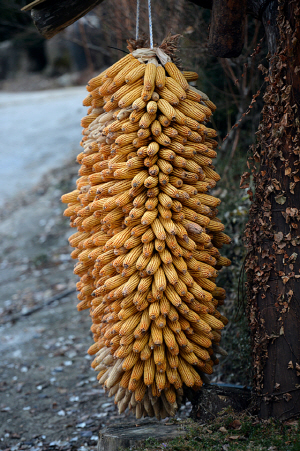 만나다마음 이미지