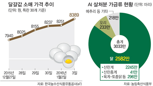 파동마트 이미지