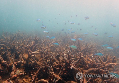 백화가스 이미지