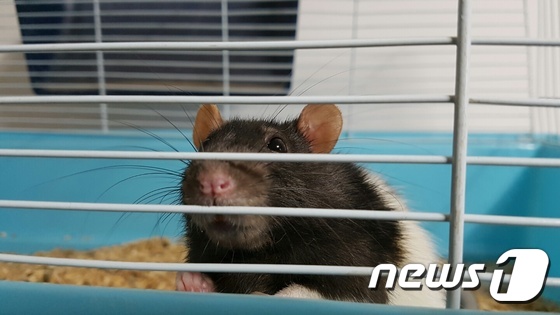 올바른교육 이미지