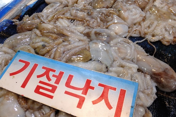 모이 이미지