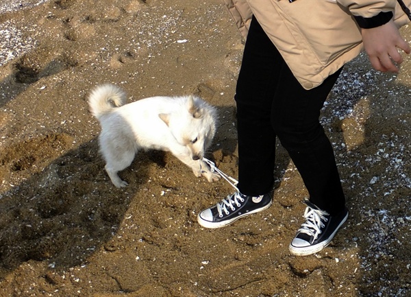 모이 이미지