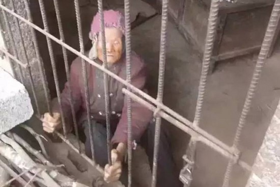 돼지우리 이미지