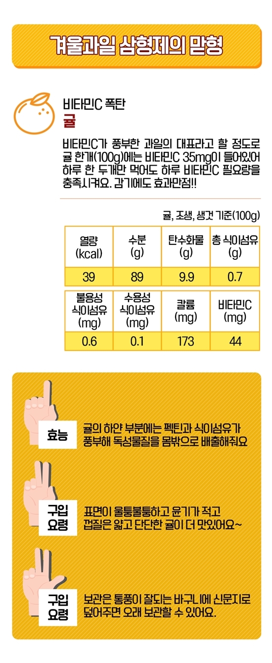 감, 귤, 유자의 효능_식품의약품안전처