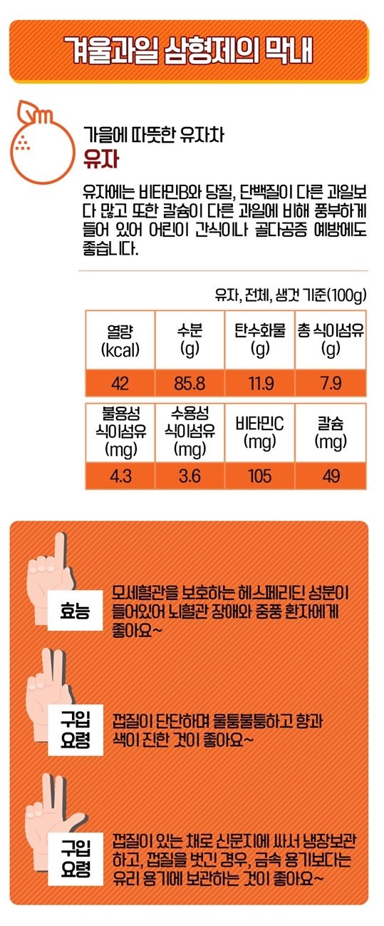 감, 귤, 유자의 효능_식품의약품안전처