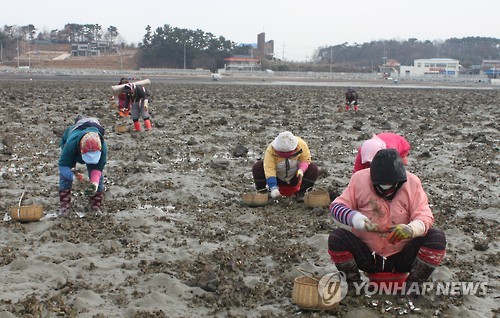 간월도어촌계 이미지