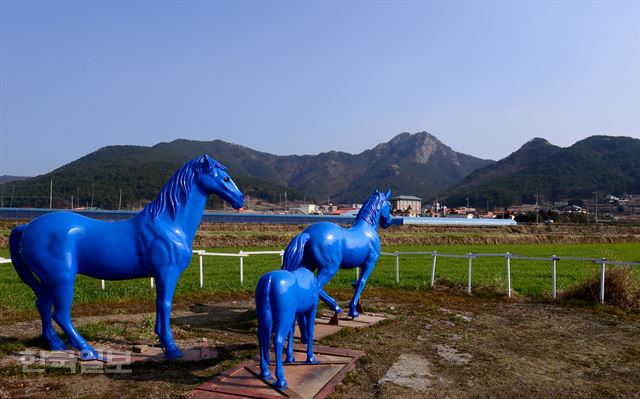 둔덕면 방하마을 보리밭과 청마 조형물.