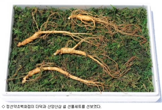 약초백화점 이미지