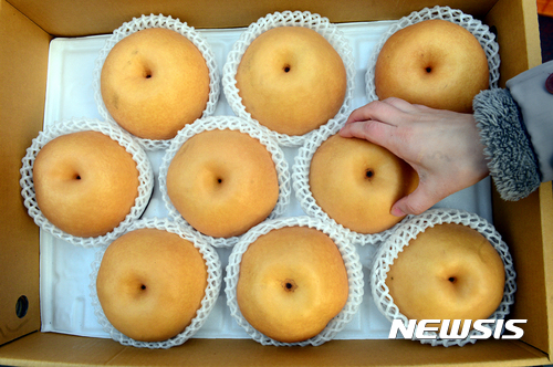 과일의민족 이미지
