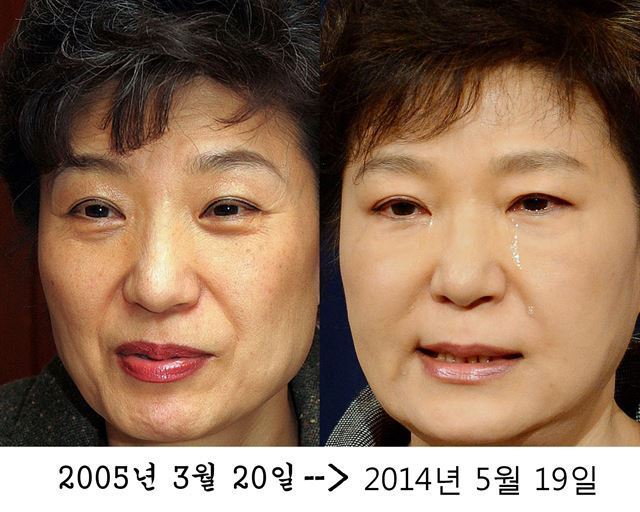 탱탱 이미지
