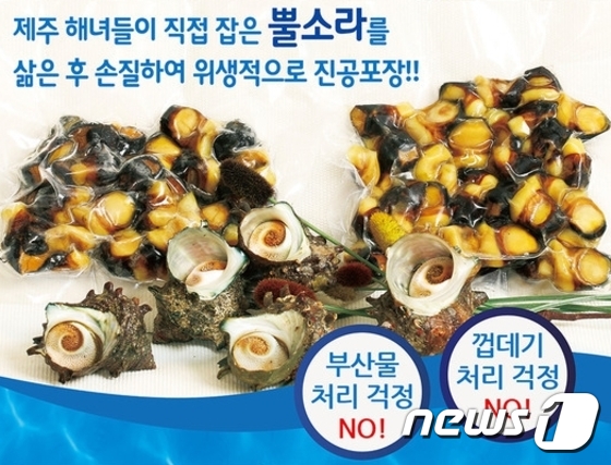 소라 이미지