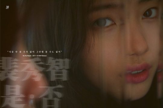 수지 이미지