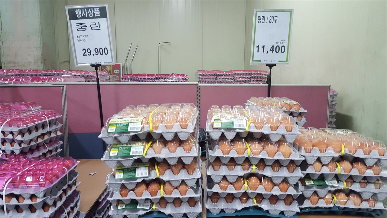 금란마트 이미지