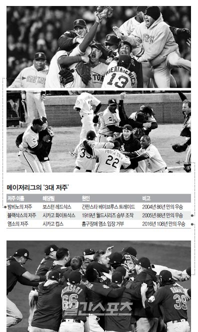 월드플랙 이미지