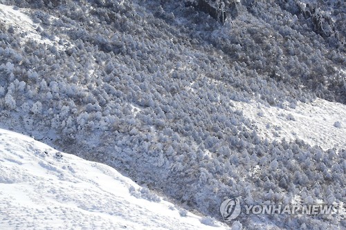 제주청소대통령 이미지