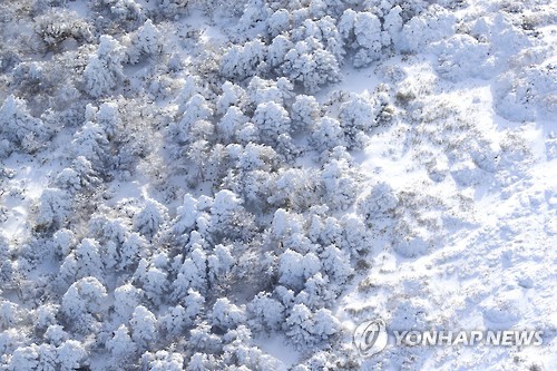 제주청소대통령 이미지