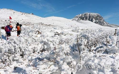 제주청소대통령 이미지