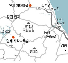 자작나무숲민박 이미지