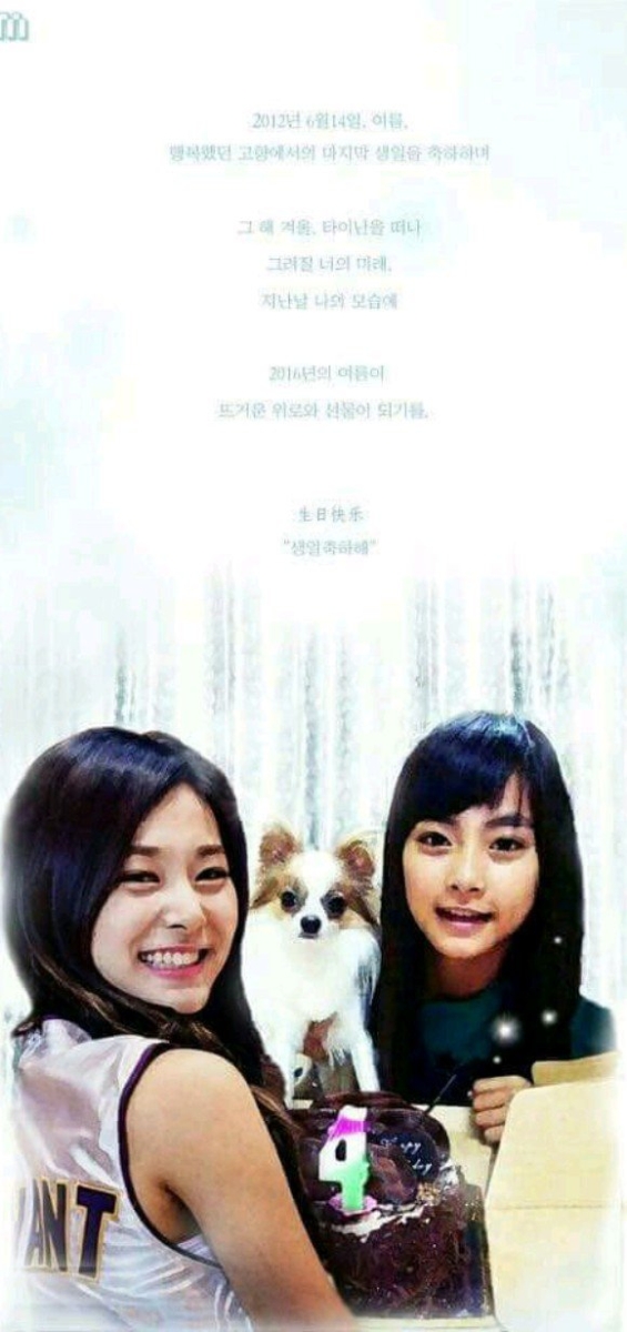 금손 이미지