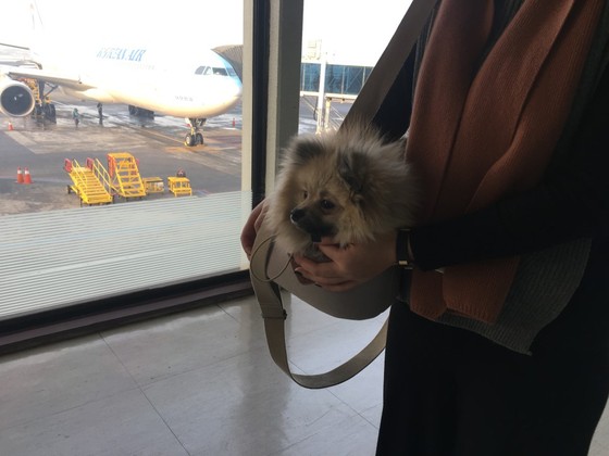 점례 이미지