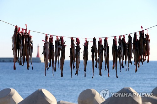 하루byH 이미지