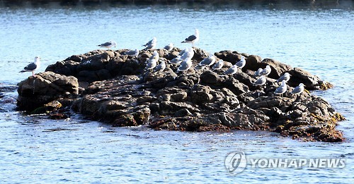 하루byH 이미지