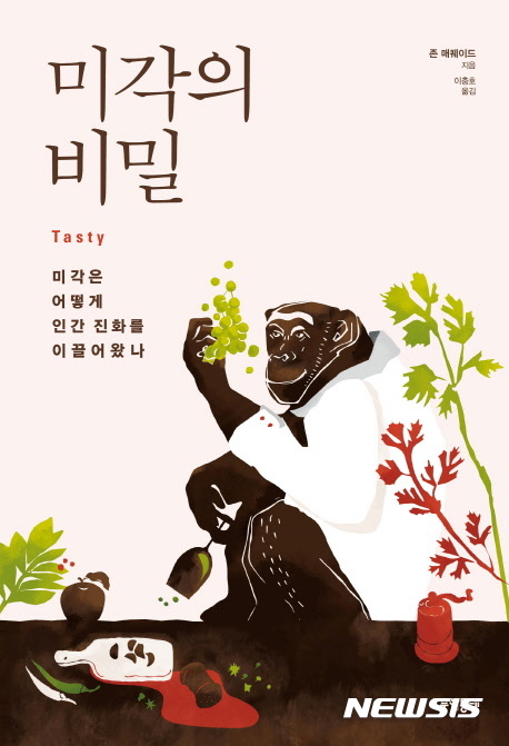 미각 이미지