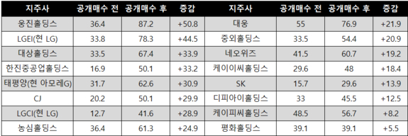대우그룹지주회사 이미지