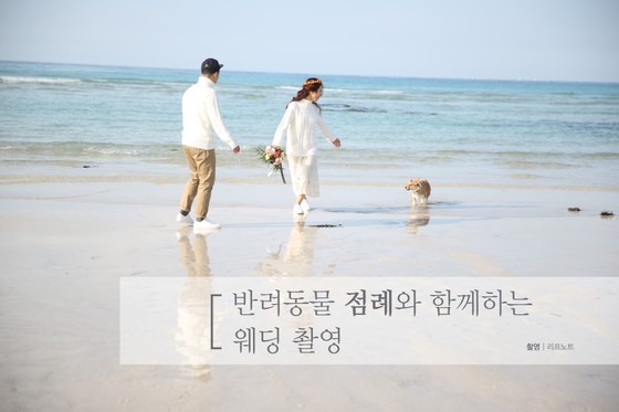 점례 이미지