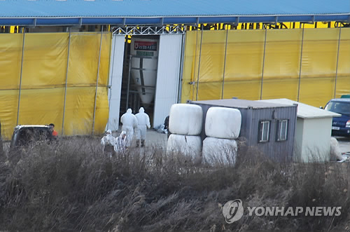청주 보은 한우 이미지