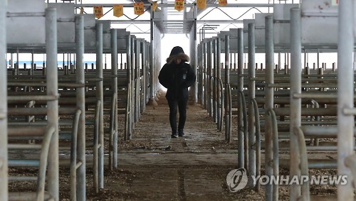 우시장 이미지