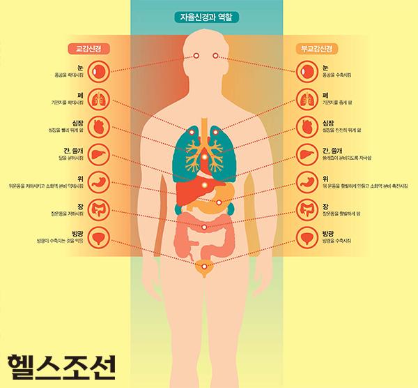 [헬스조선]