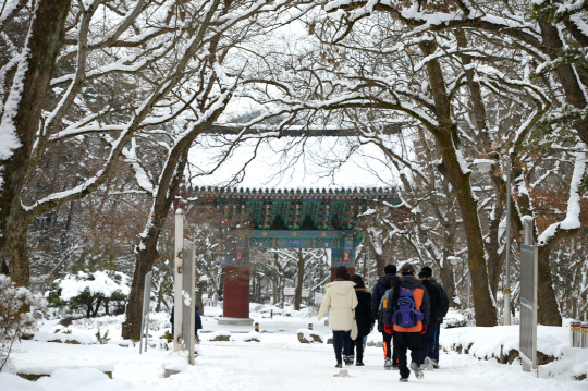◇겨울의 끝자락, 가는 겨울이 아쉬울 때다. 마지막 겨울여행을 떠나려거든 2월, 지금이 적기다. 운치있는 걷기길과 하얀 눈, 따끈한 온천수가 어우러진 여정이라면 더할 나위 없는 조합이다. 사진은 모악산 마실길 김제구간 2코스.<사진=한국관광공사 제공>