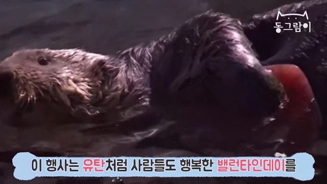 해달기획 이미지