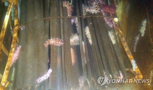 해삼영어조합법인 이미지