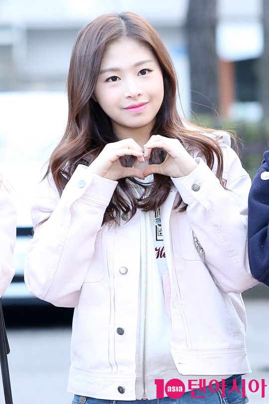 채원 이미지