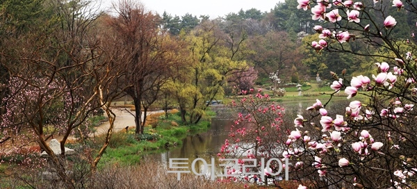 태안반도 이미지