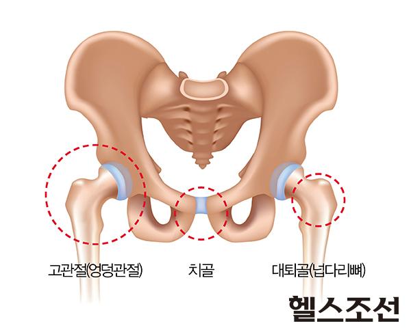 [헬스조선]