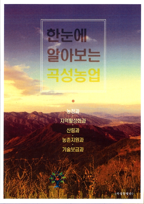곡성미용실 이미지
