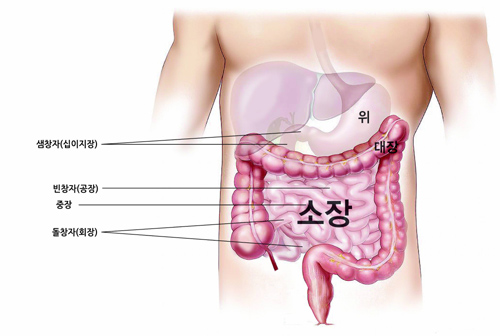 알콩달콩이야기 이미지