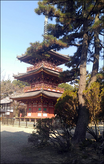 학림사 이미지