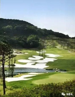 中매체