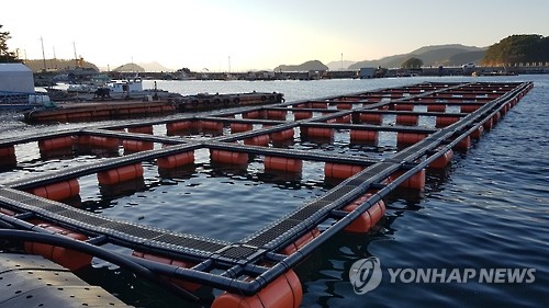 자란만식품 이미지
