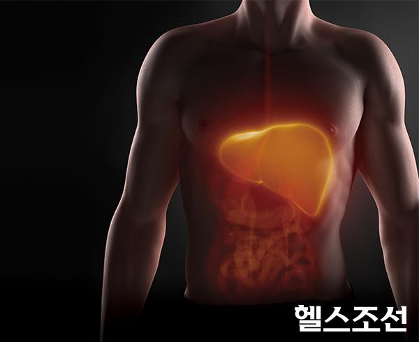 [헬스조선]간질환 생활수칙 핵심 포인트