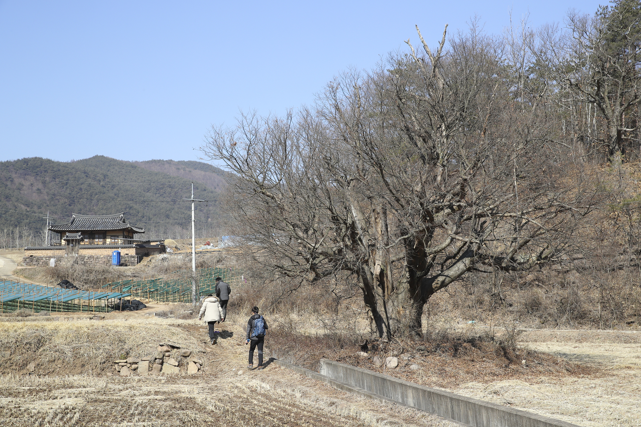 호랑이보부상 이미지